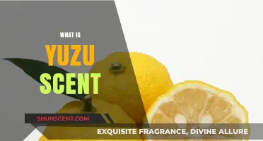 Discover the Refreshing and Citrusy Yuzu Scent: A Complete Guide
