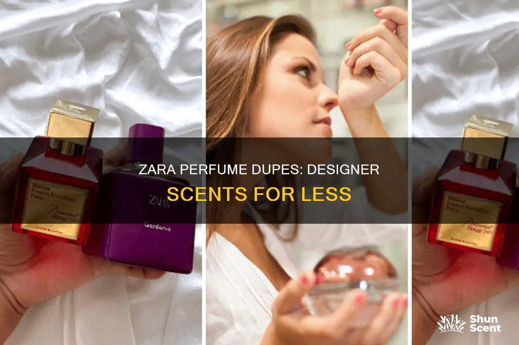 what is zara perfume a dupe for
