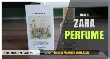 Explore Zara's Fragrance Collections