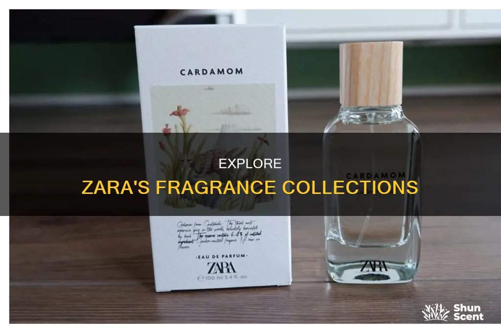 what is zara perfume