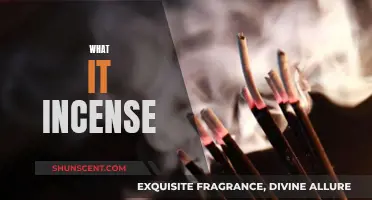 Incense: Ancient Aromatic Rituals Explained