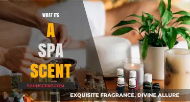 Unveiling the Soothing Aromas: What Makes a Spa Scent Unique
