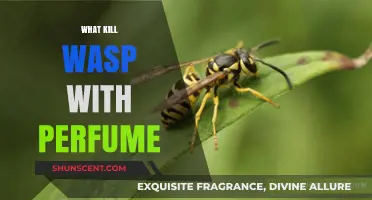 How to Kill Wasps with Perfume
