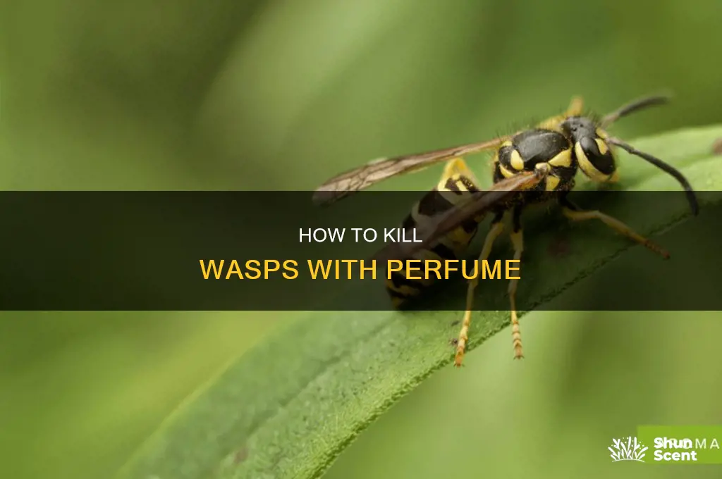 what kill wasp with perfume