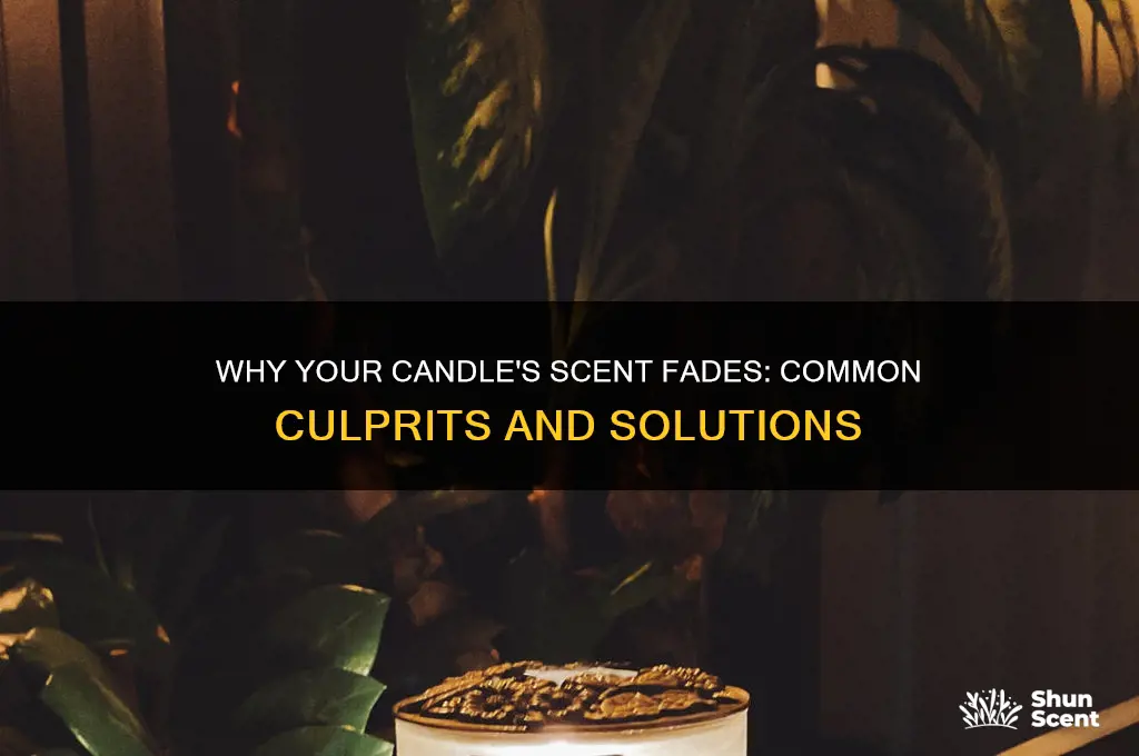 what kills a candle
