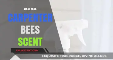 Effective Scents to Repel and Eliminate Carpenter Bees Naturally