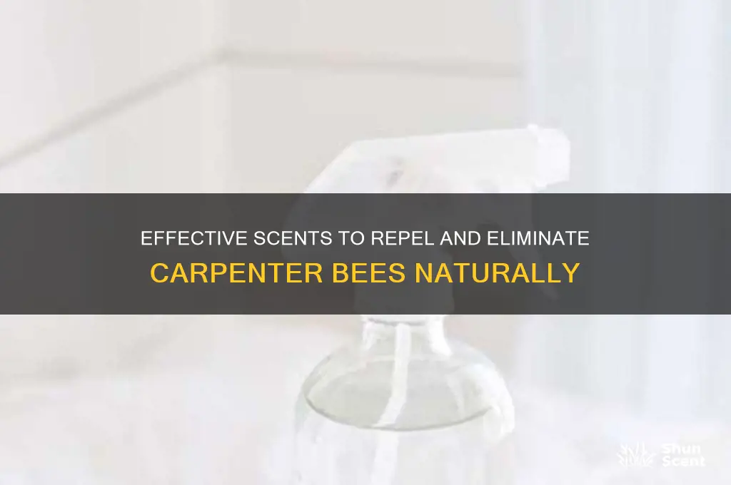 what kills carpenter bees scent