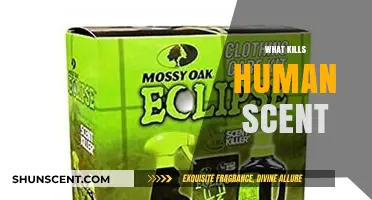 Eliminate Human Scent: Proven Methods to Stay Undetected in Nature
