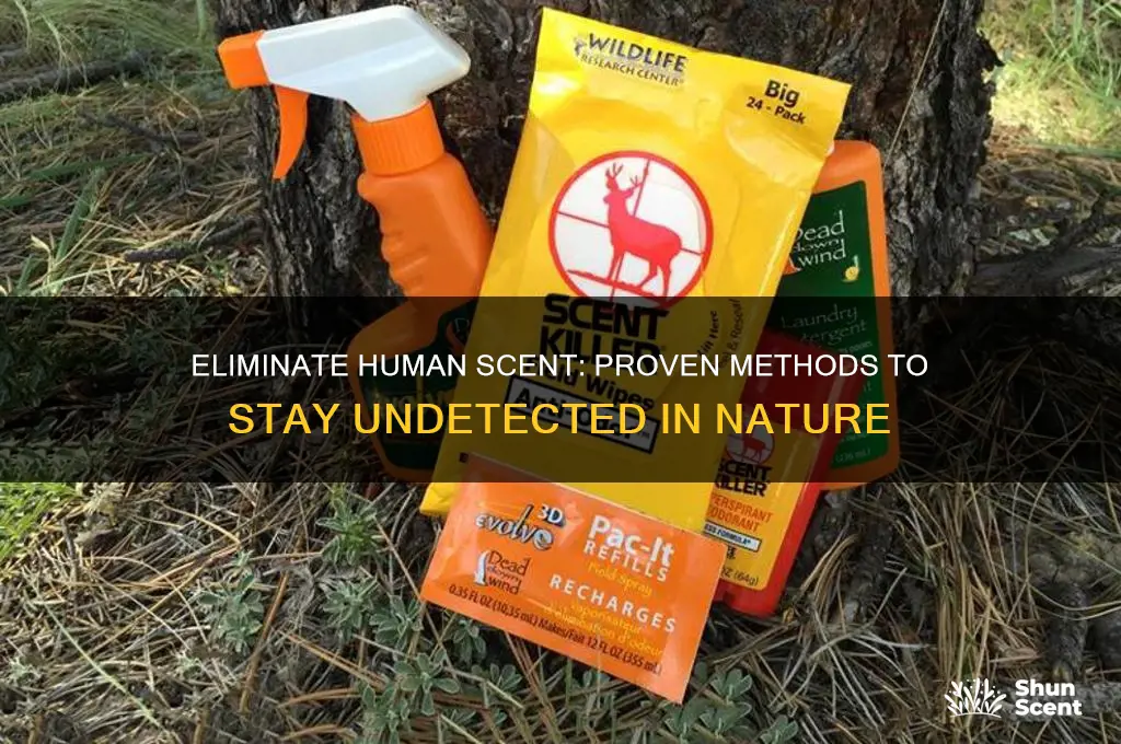 what kills human scent