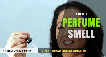 Perfume Smell Killers: What You Need to Know