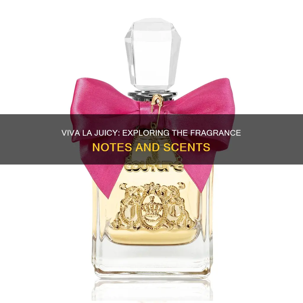what kind a of fragrances viva la juicy