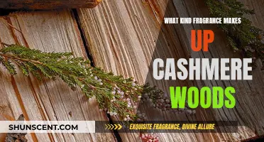 The Warmth of Cashmere Woods: Exploring Its Fragrance Notes