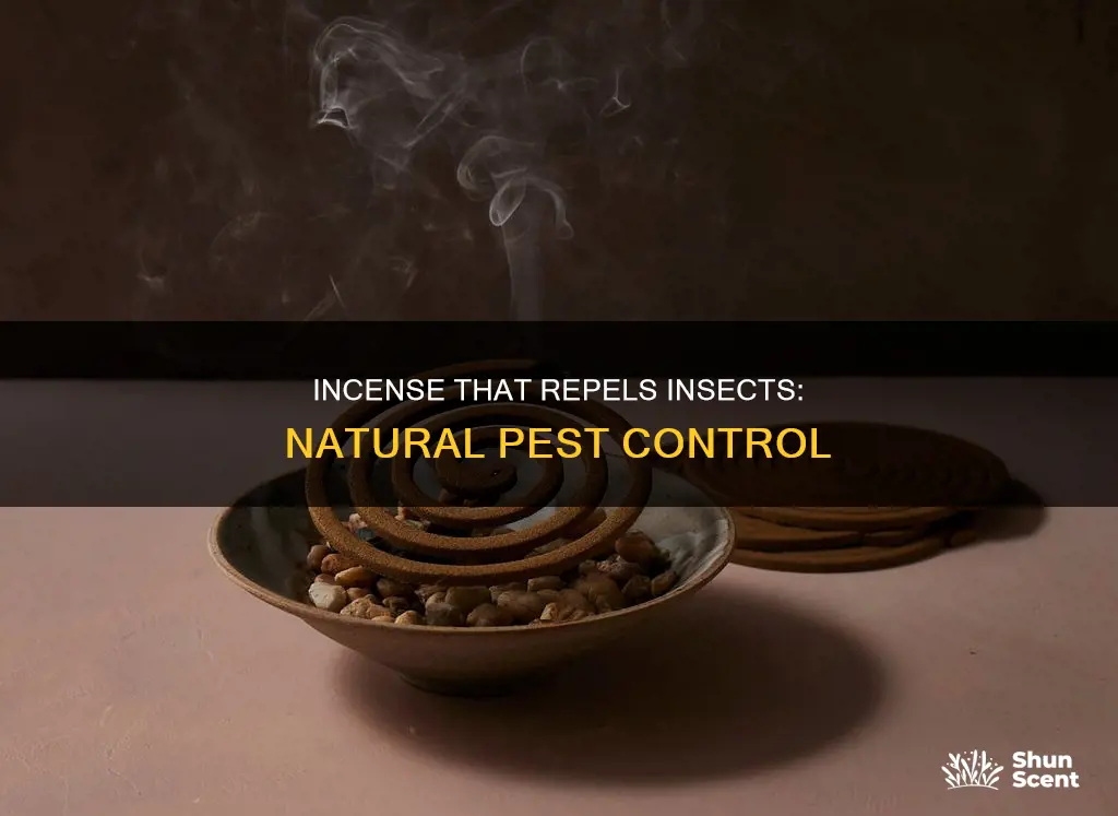 what kind od incense chases away bugs
