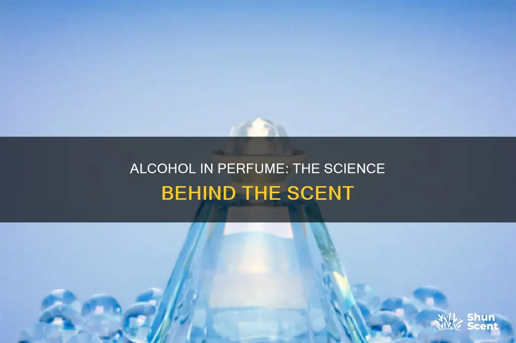 what kind of alcohol for perfume