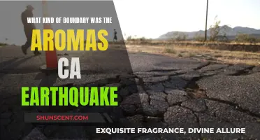 Aromas, CA Earthquake: A Transform Boundary Tremor