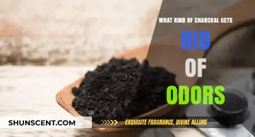 Discover the Best Charcoal Types for Eliminating Unpleasant Odors