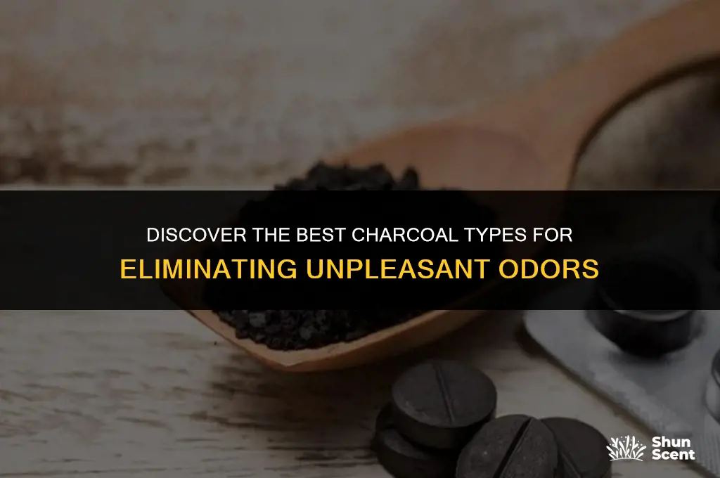what kind of charcoal gets rid of odors