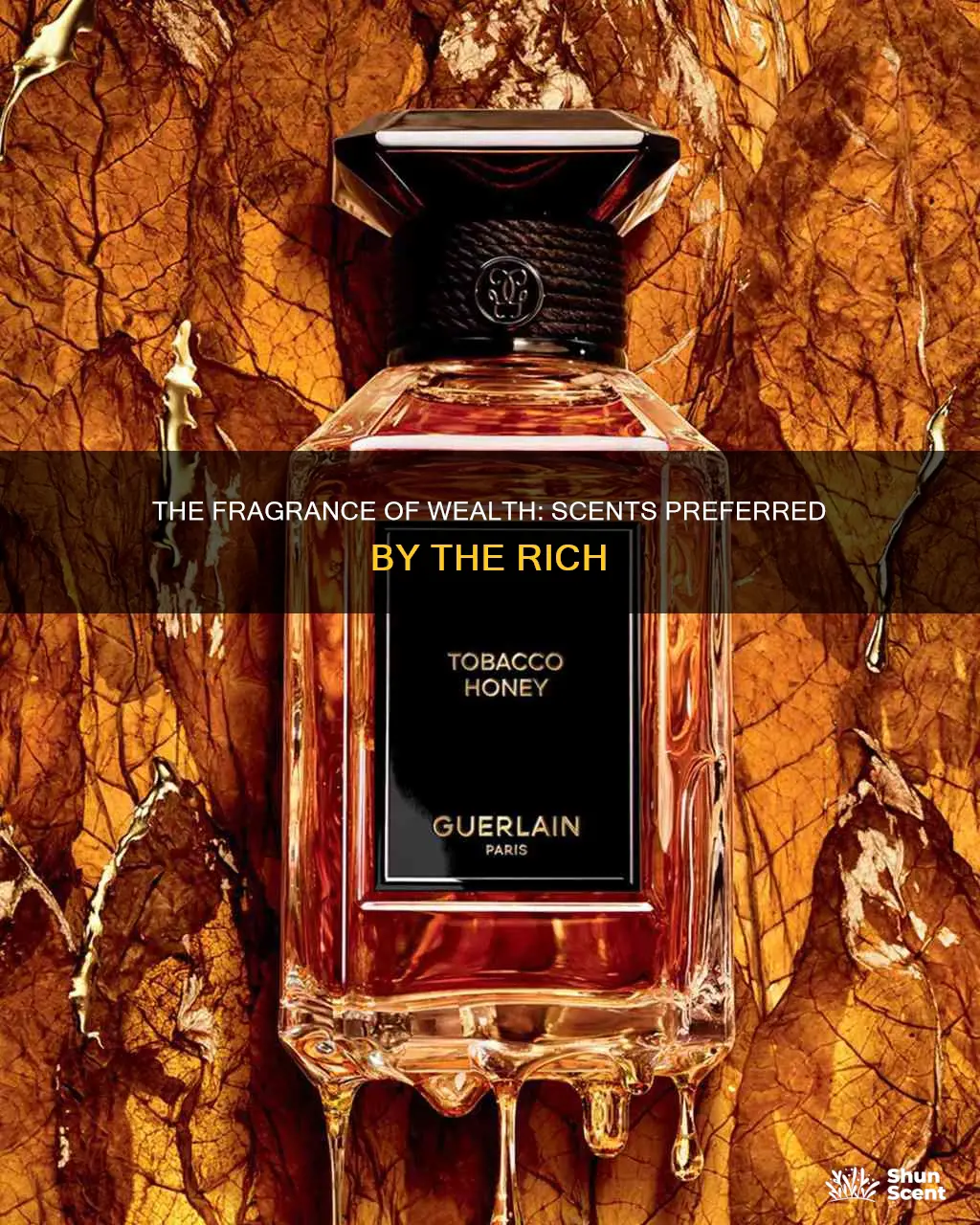 what kind of cologne do rich people wear