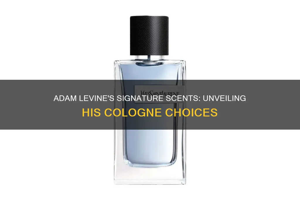 what kind of cologne does adam levine wear