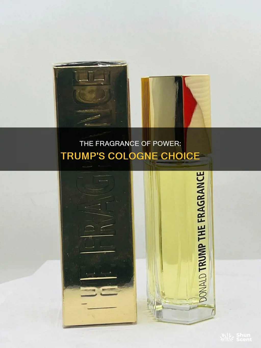 what kind of cologne does donald trump wear