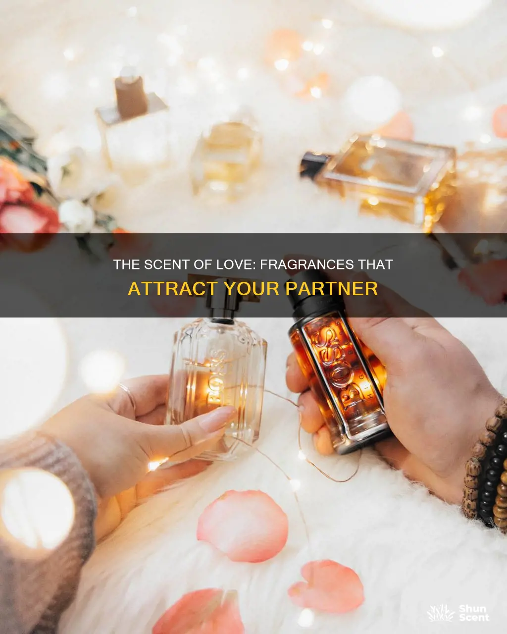 what kind of fragrance does your partner give off