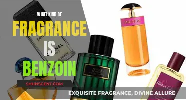The Warm and Sensual World of Benzoin Fragrance