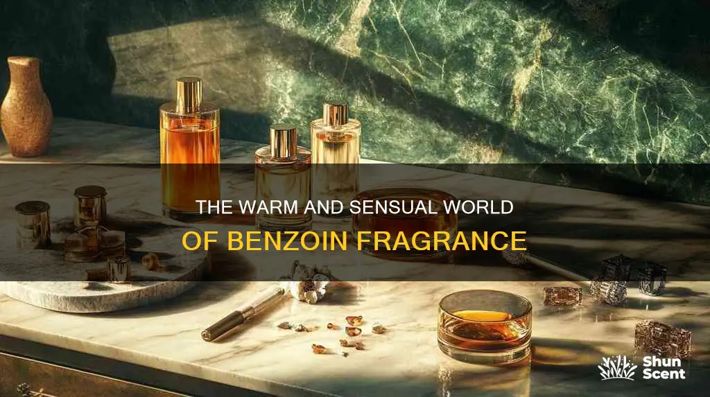 what kind of fragrance is benzoin