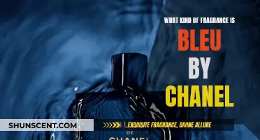 Bleu de Chanel: A Fresh, Aromatic Fragrance for Men