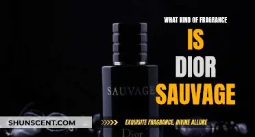 Sauvage: Dior's Woody Fragrance for Men