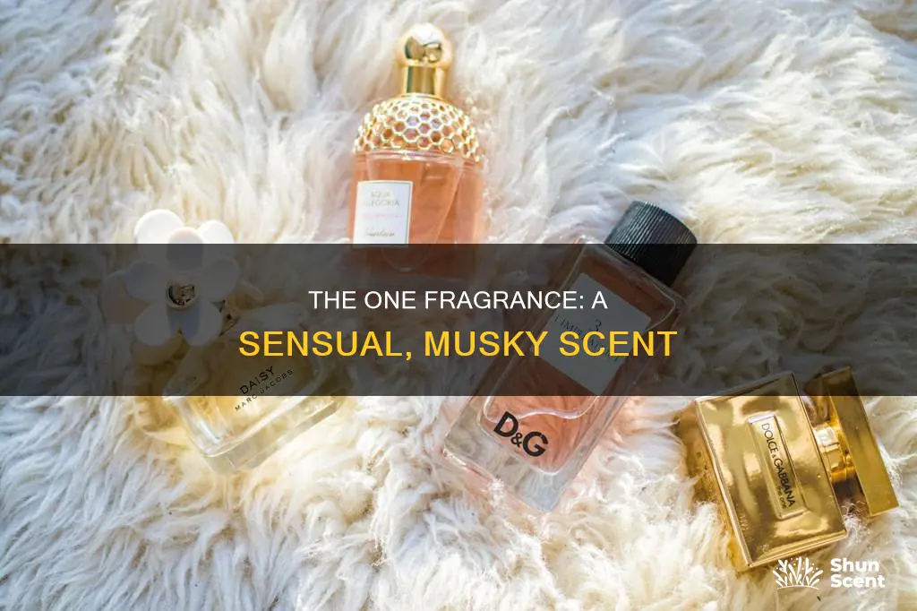 what kind of fragrance is the one