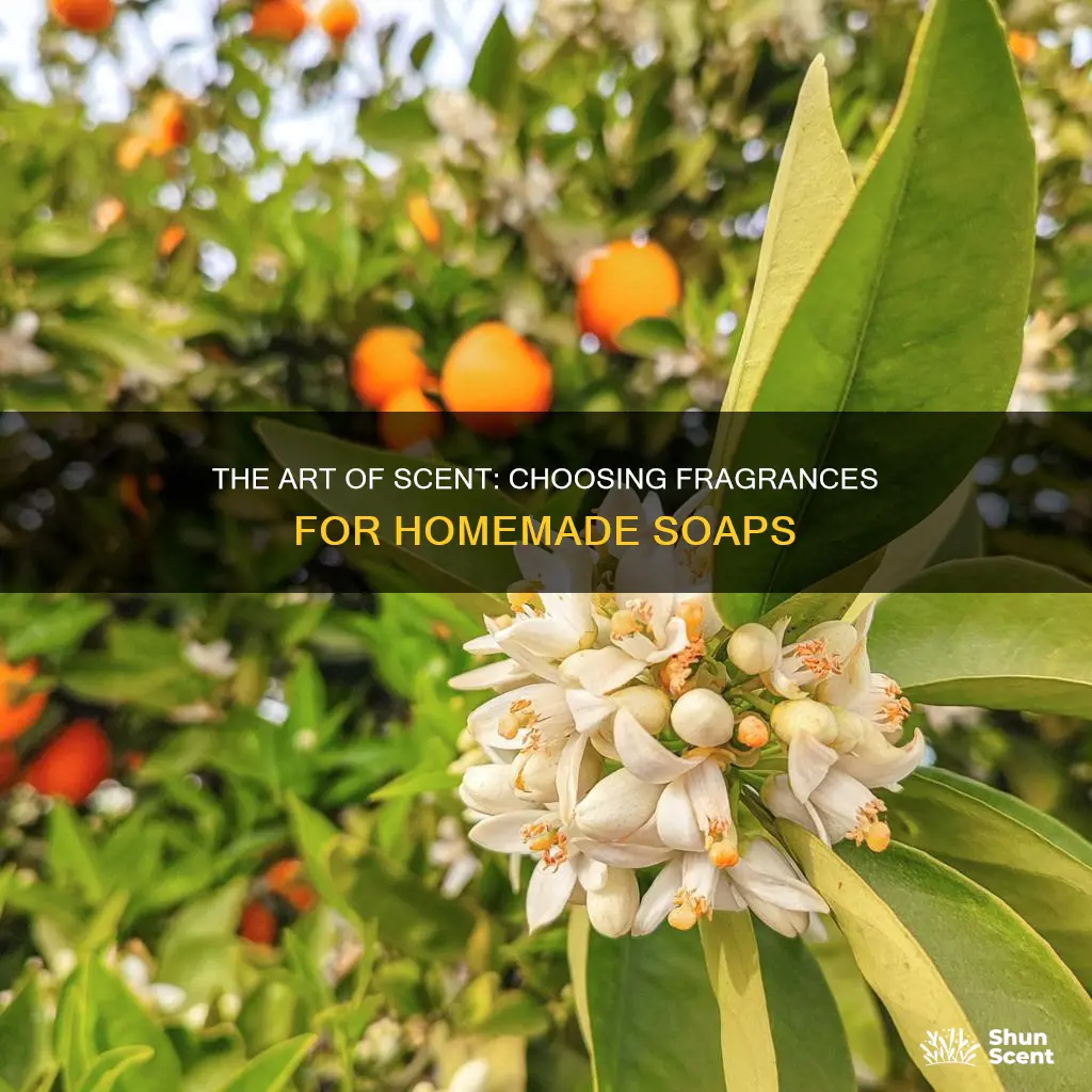 what kind of fragrance to use making your homemade soaps