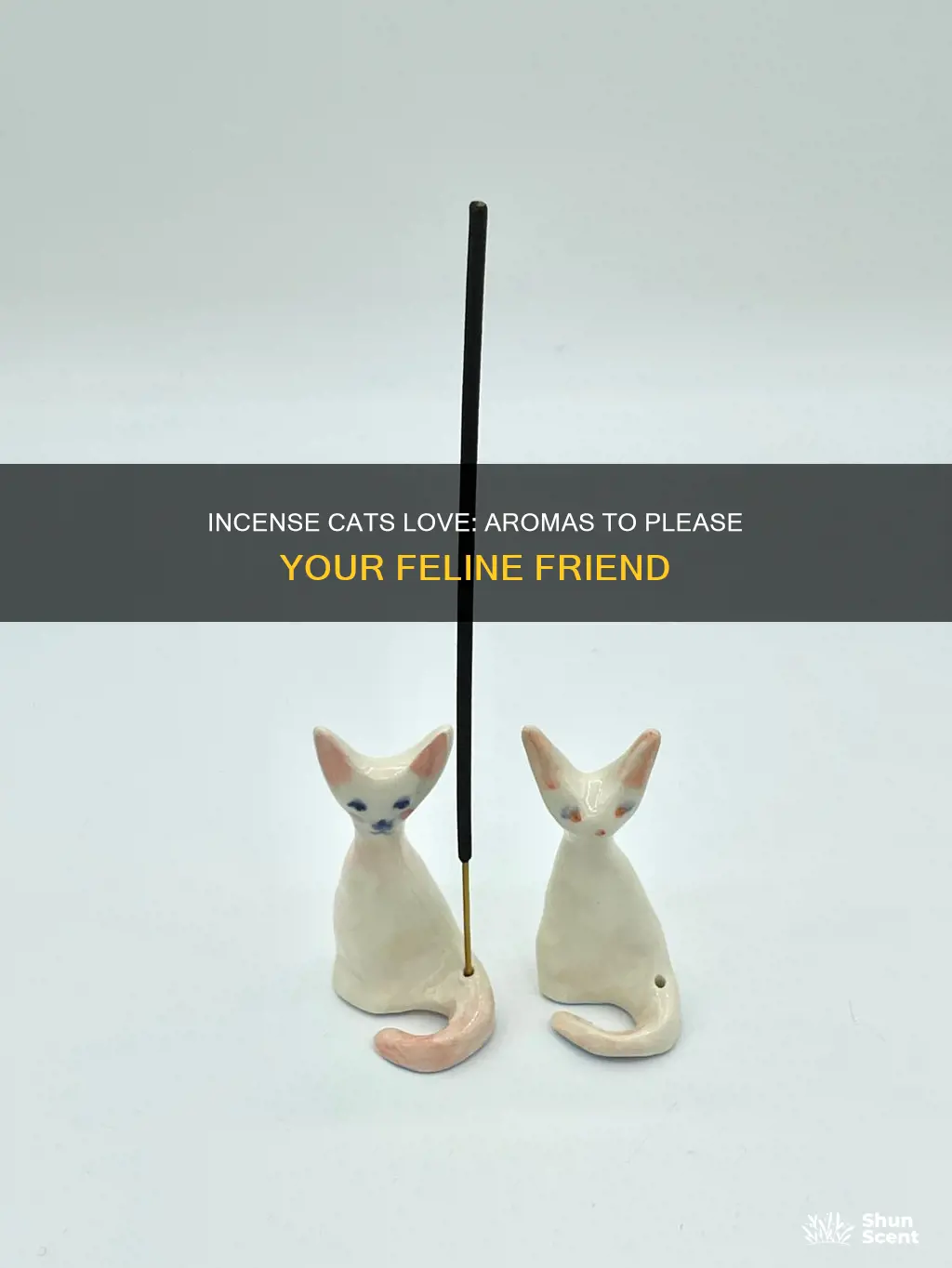 what kind of incense do cats like