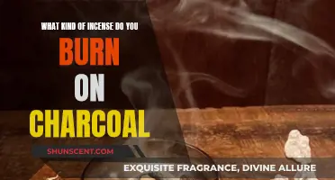 Incense and Charcoal: Choosing the Right Scents
