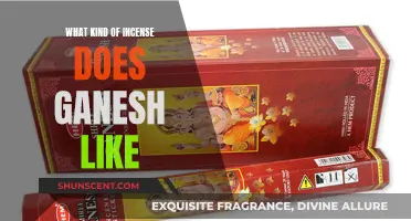 Incense Offerings to Ganesh: Scents to Please the God