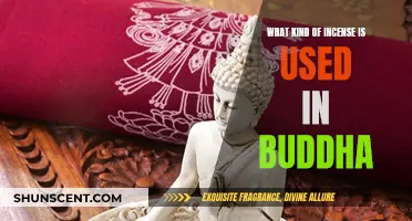 Incense Used in Buddhism: A Guide