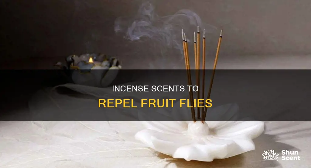 what kind of incense to kill fruit flies
