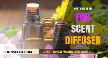 Best Essential Oils for Aromatherapy Diffusers: A Complete Guide