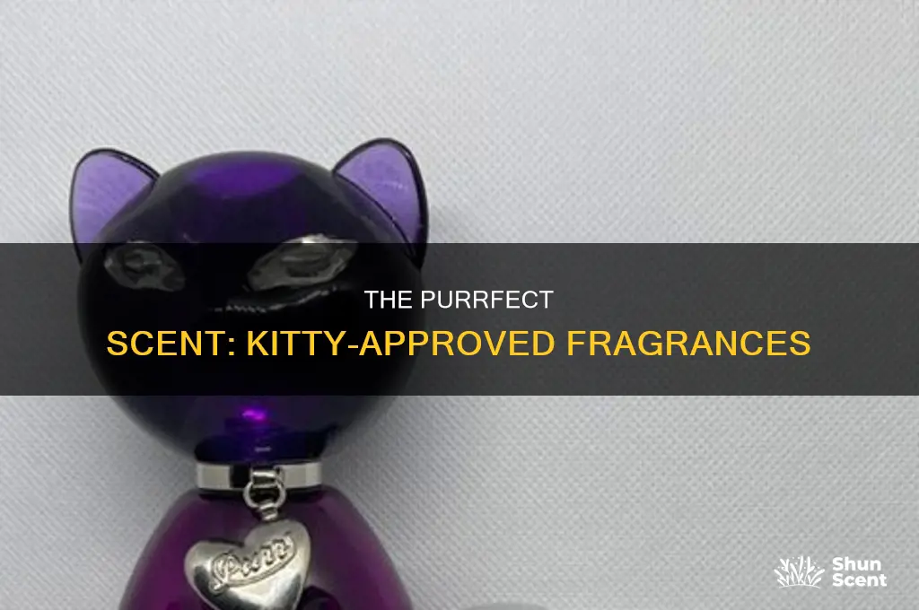 what kind of perfume could a kitty cat usd