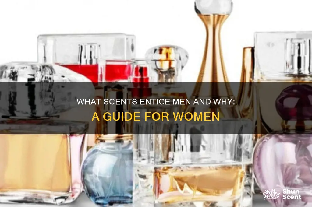 what kind of perfume do men like women to wear