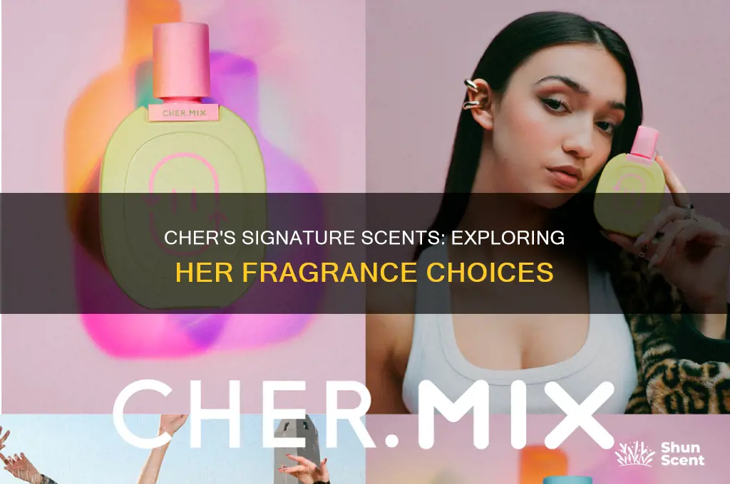 what kind of perfume does cher wear