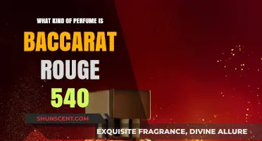 The Alluring Baccarat Rouge 540: A Fragrance Exploration