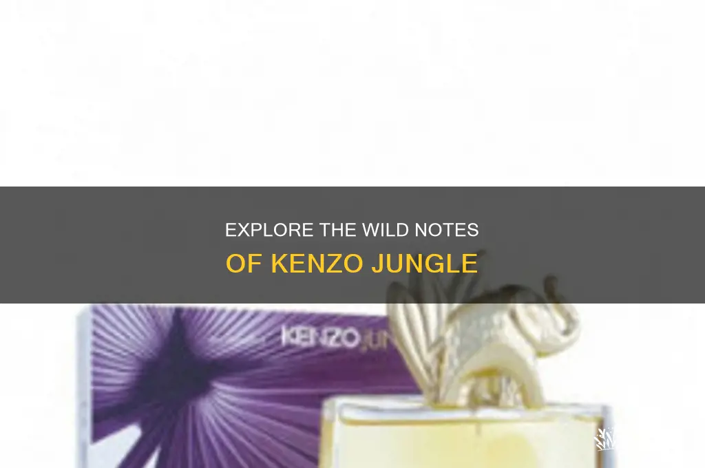 what kind of perfume is kenzo jungle