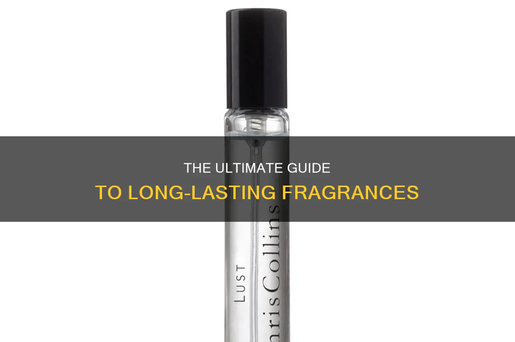 what kind of perfume lasts all day