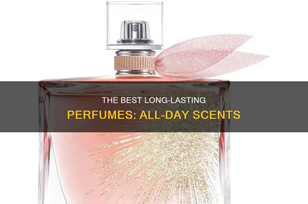 what kind of perfume sticks with you all day