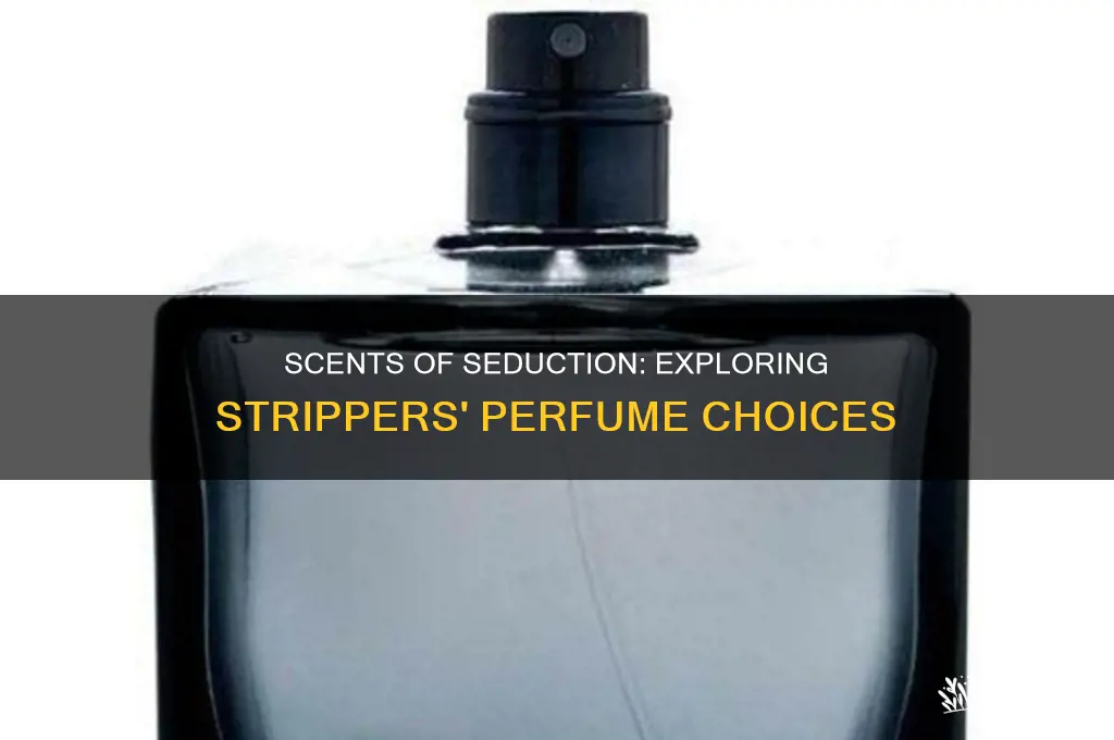 what kind of perfume strppers use