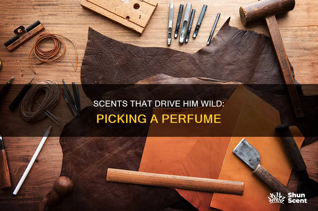 what kind of perfume turns guys on