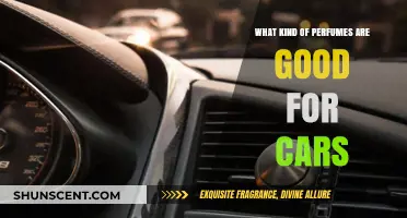 Best Aromas for Cars: Choosing the Right Car Perfume