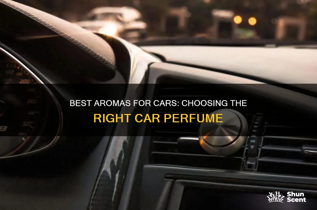 what kind of perfumes are good for cars