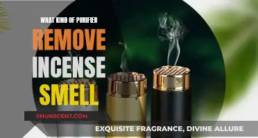 Best Purifiers to Rid Incense Odor