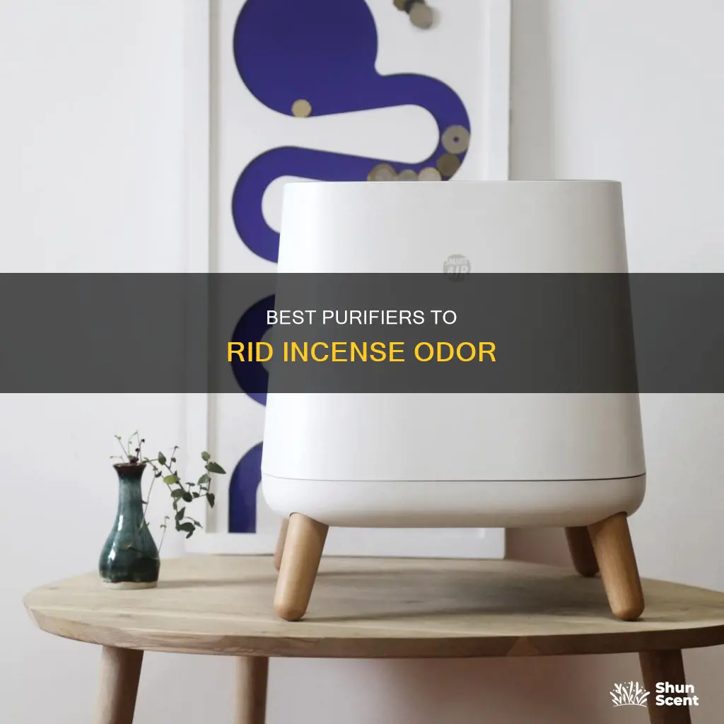 what kind of purifier remove incense smell